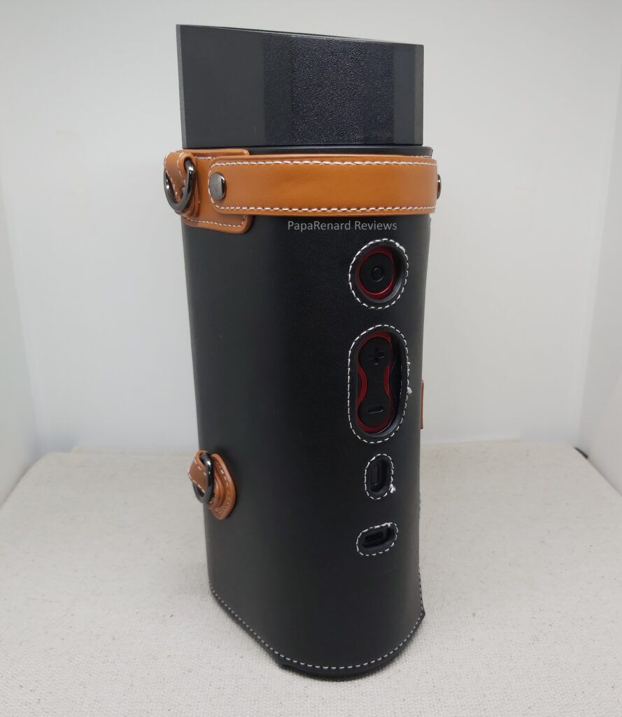 Lulu in leather controls view